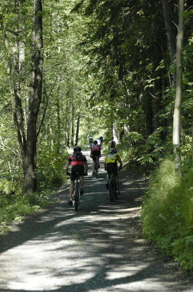 Foto: Michal Malina, Šumavanet.CZ
