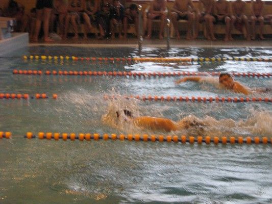 2010.12.1. Plavání
