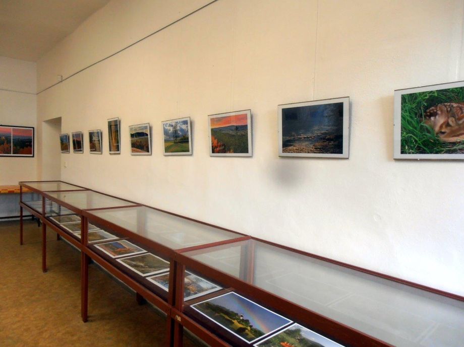 P6164264.jpg