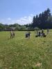 20260624_140209_28129.jpg