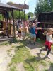 IMG_20250611_105004.jpg