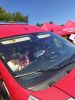 IMG_20250625_095833.jpg