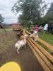 IMG_2460.jpeg