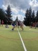 IMG_2970.jpeg