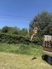 IMG_9884.jpeg