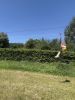 IMG_9885.jpeg