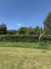 IMG_9887.jpeg