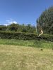 IMG_9889.jpeg