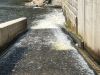 Raft_Vltava_2026_33.jpeg